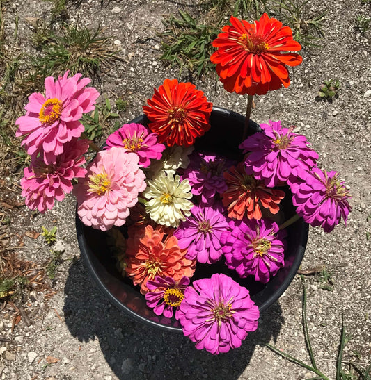 Top 5 Flower Farming Books