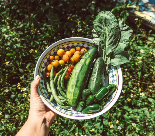 How To Start a Vegetable Garden - Starting a Garden From Scratch