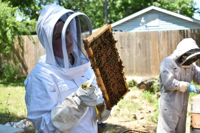 Inspiring Stories: Hives for Heroes