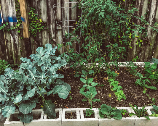 Vegetable Garden Books