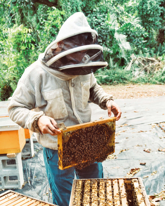 Gifts for Beekeepers