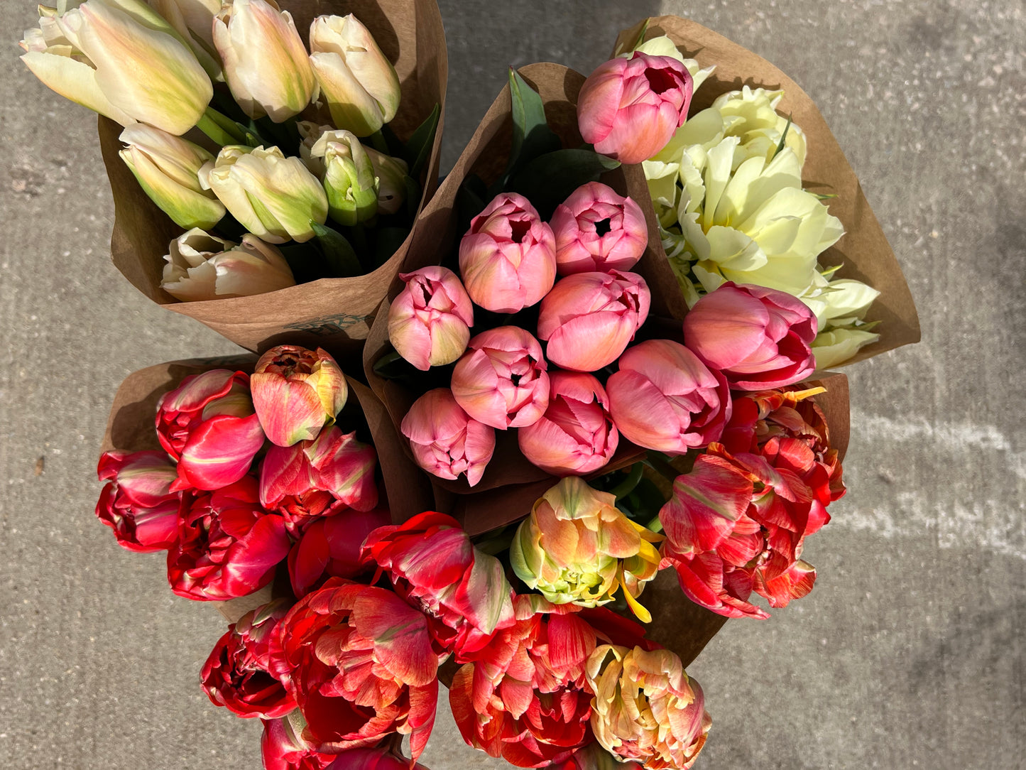 Tulip Box - Sustainably Grown Local Tulips: Delivered from Our Farm to Your Doorstep
