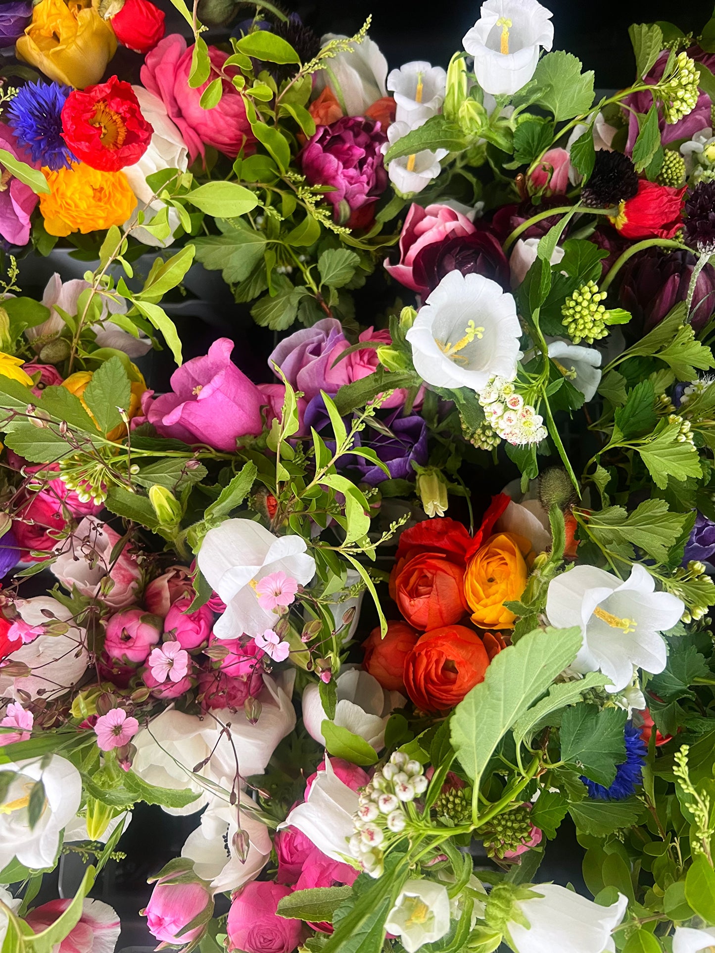 2025 5-Week Spring Flower CSA Subscription